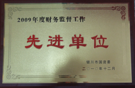 2009年度财务监督工作先进单位.png